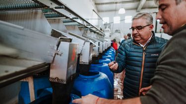 Exportaciones. Jalil visitó la planta de los altos sa, que se afianza como exportadora de aceituna de mesa.