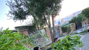 pacientes de salud mental venden verduras de huerta