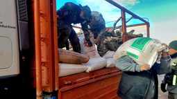 Apoyo a productores ganaderos de Laguna Blanca tras el temporal