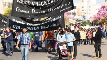 los docentes universitarios recibiran un aumento del 5 por ciento