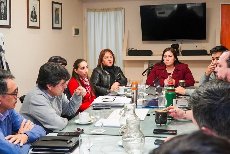 Catamarca. Diputados opositores piden sanción para Liex-Zijin