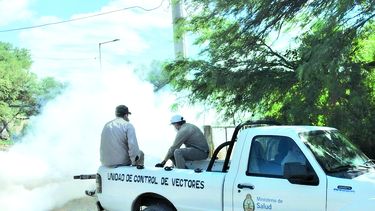 Salud refuerza controles ante la aparición de dengue