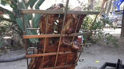 Con el Festival del Asado, Paclín despide el mes de enero  