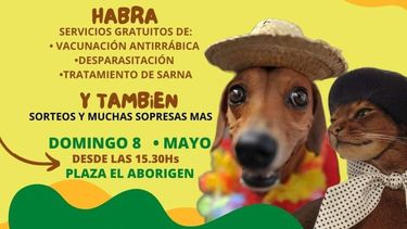 gran desfile de mascotas en valle viejo