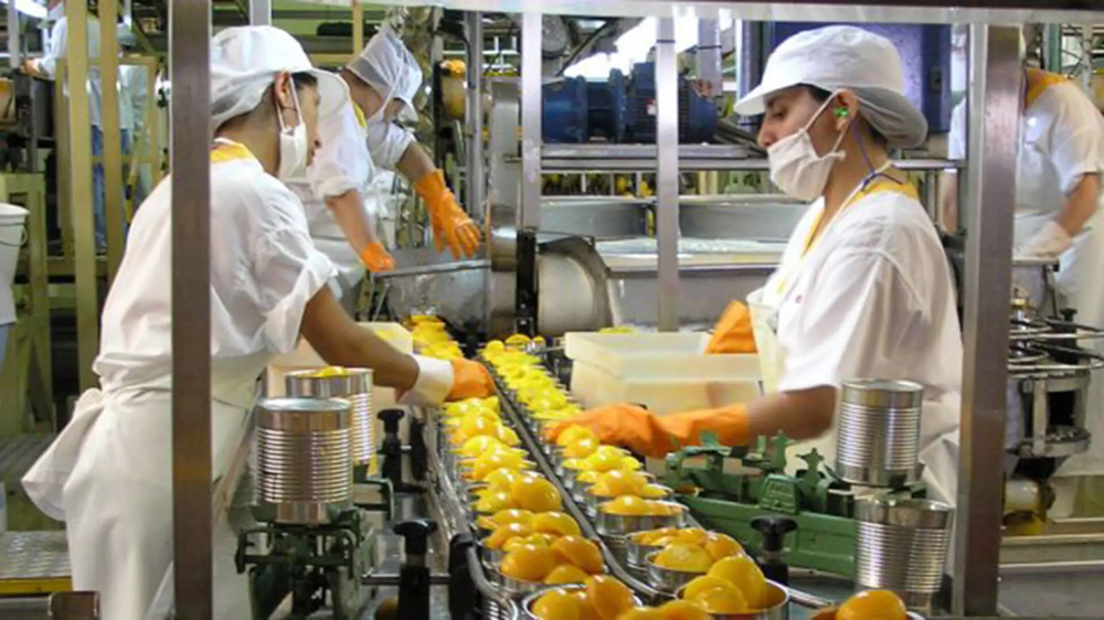 La industria alimenticia creció un 2,5%.