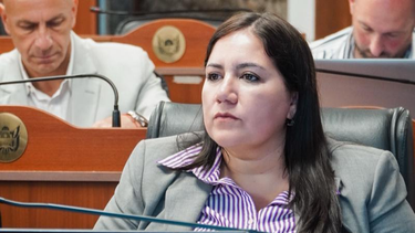 Diputada Silvana Carrizo