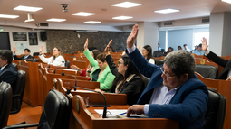 El Senado convirtió en ley la creación de la Zona Franca en Catamarca