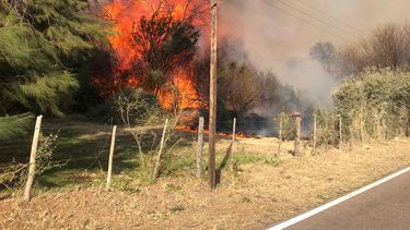 Cerca de 350 familias afectadas por un incendio en La Puntilla