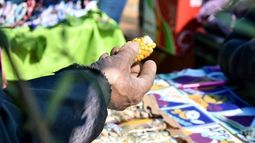22º edición de la Feria Provincial de Semillas Nativas y Criollas