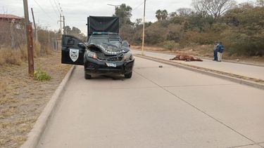 la aguada: un patrullero impacto contra un caballo suelto en una avenida