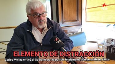 Carlos Molina, Presidente del PRO