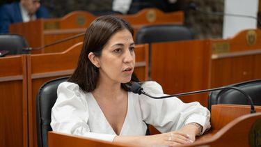 se convirtio en ley la cesion de los tuneles de la merced a la provincia