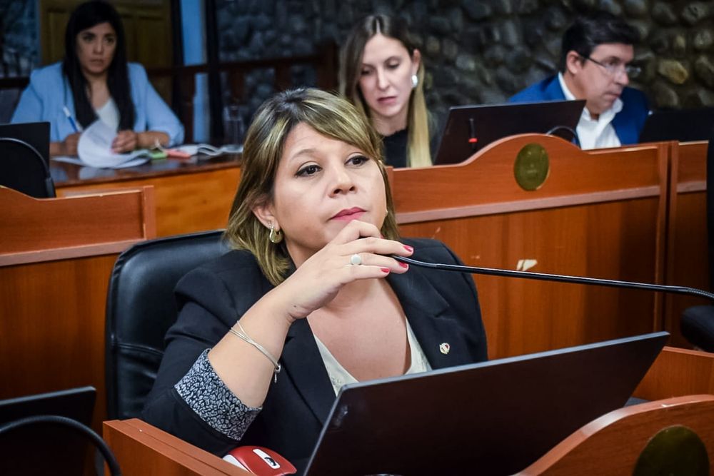 Desconfianza. La diputada Natalia Herrera cuestionó a la Justicia.