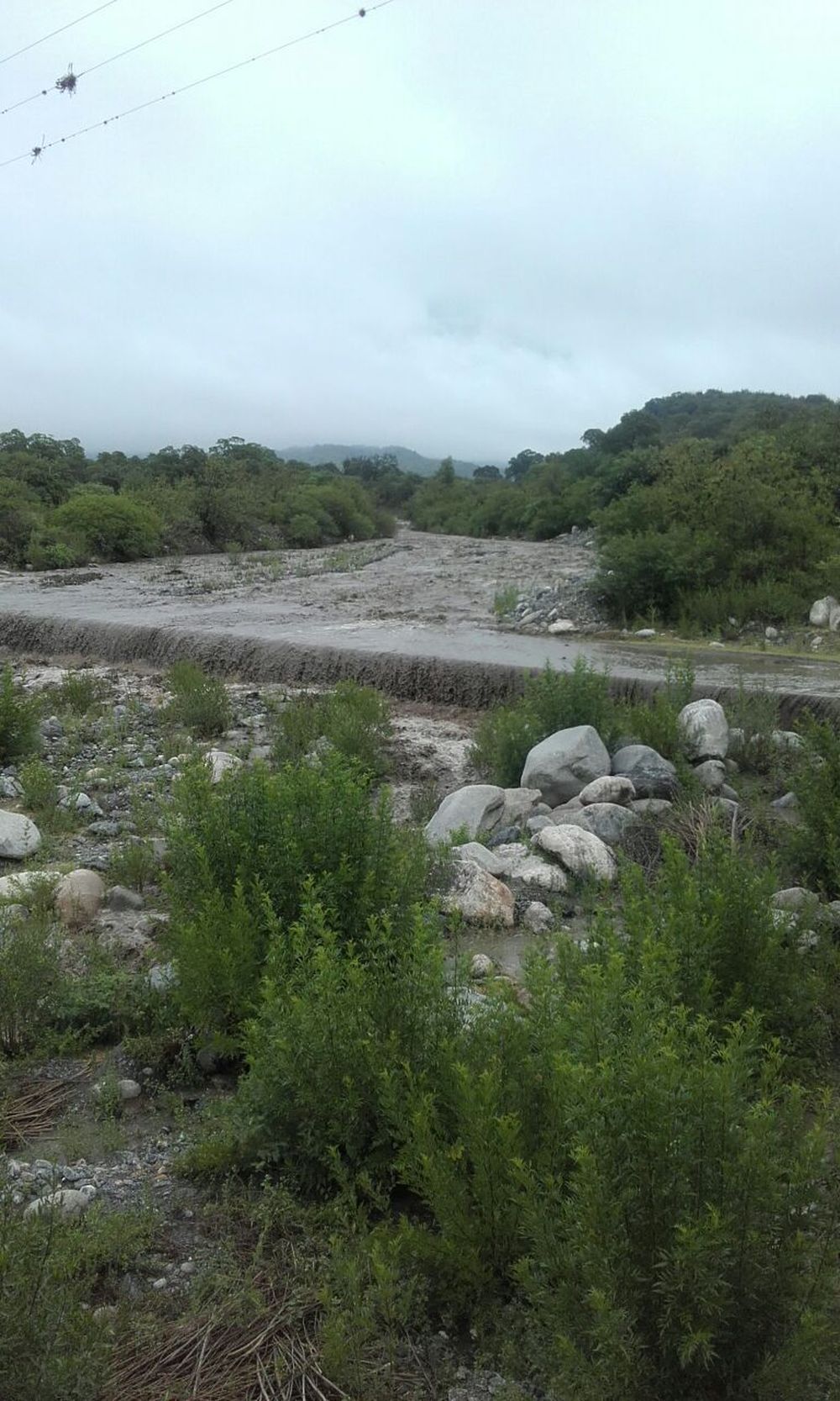 92854.jpg