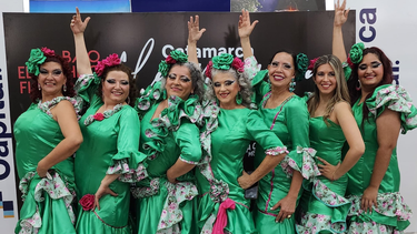 Espectáculo de danzas para celebrar el Día Mundial del Flamenco