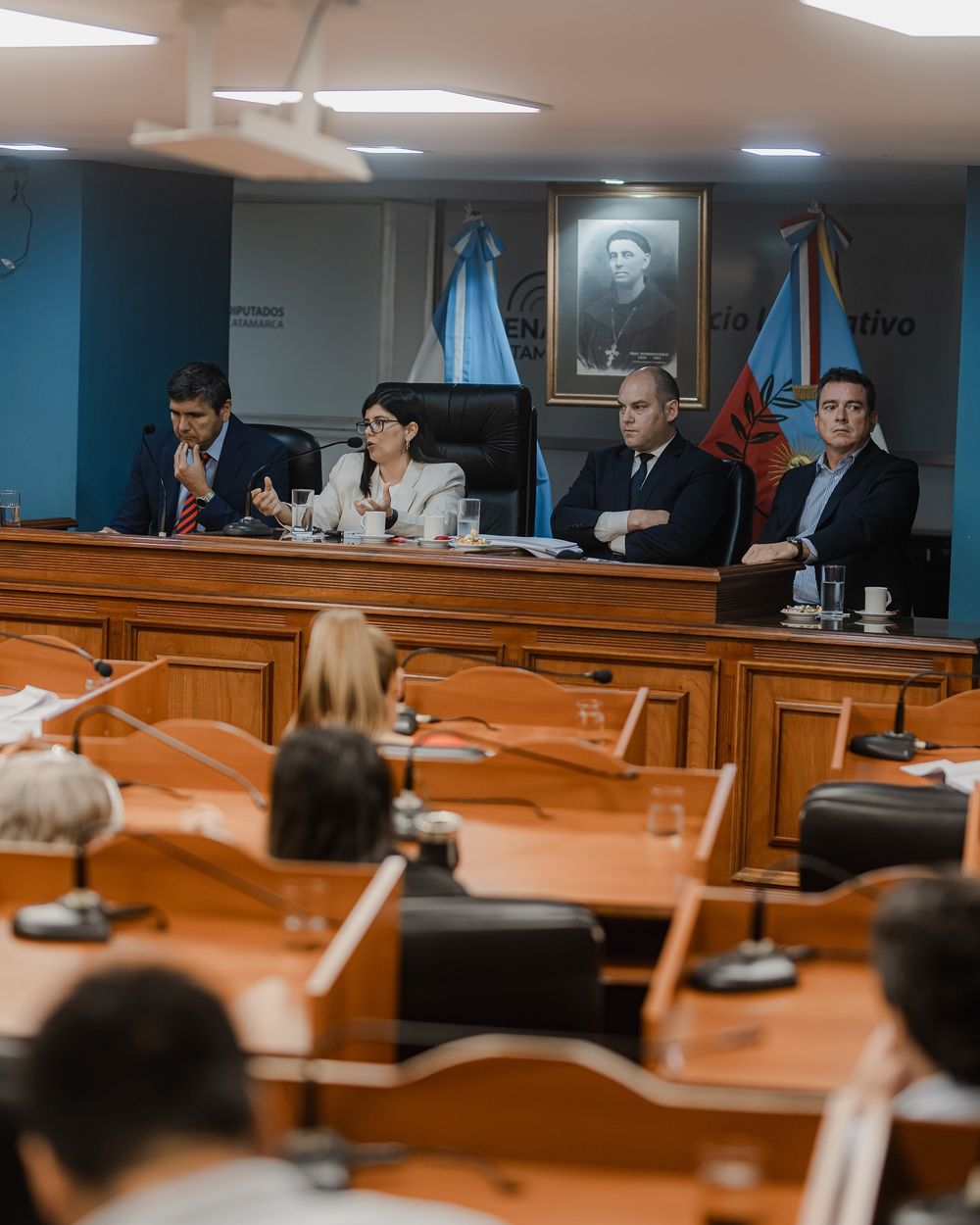 fernanda rosales camara de diputados noviembre 2024.jpg