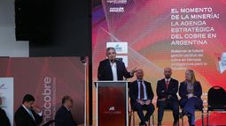 Presentación. El gobernador de Catamarca, en un panel institucional.