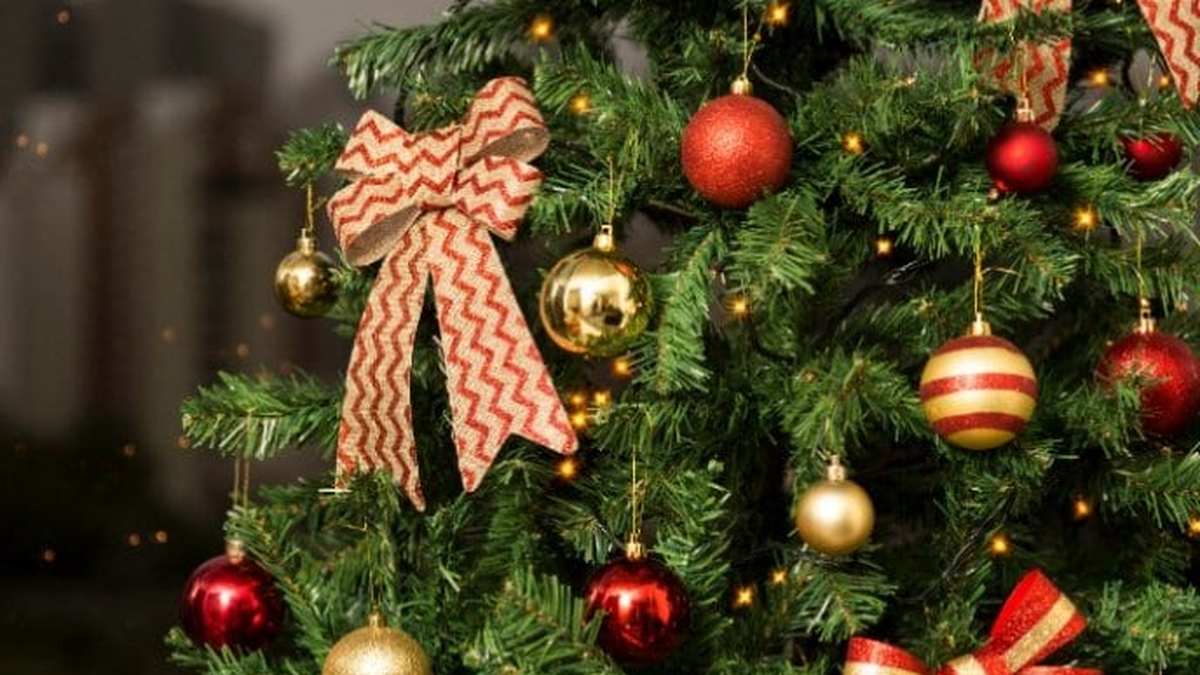 ¿Por Qué El árbol De Navidad Se Arma El 8 De Diciembre En La Argentina?