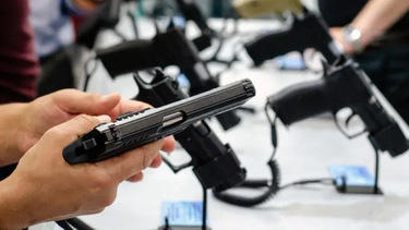 El mito de las armas y la seguridad