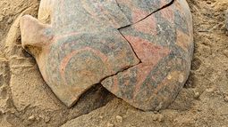Hallaron vasijas de hasta 1.000 años de antigüedad en Choya, Andalgalá