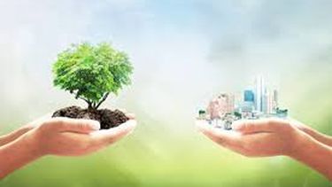la arquitectura pone el foco en la preservacion del medio ambiente