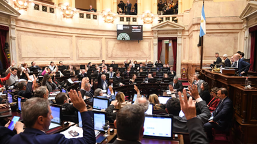 el senado dio media sancion al proyecto para modificar la ley de dnu