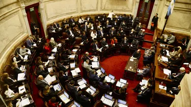 el senado trata la eliminacion de limites para la compra de tierras por extranjeros