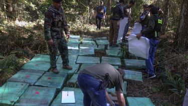 El 2% de las causas iniciadas por narcotráfico llega a una sentencia