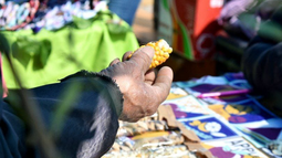 Llega una nueva edición de la Feria Provincial de Semillas Nativas y Criollas