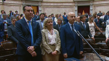 palladino, monguillot y brizuela juraron como diputados nacionales