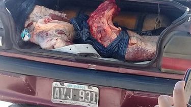 Decomisan carne vacuna en el Puesto Caminero El Portezuelo