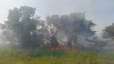 un importante incendio sobre ruta n1 afecto el servicio de energia