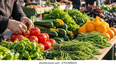 comenzo la feria de productos organicos en catamarca