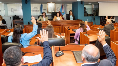 La suspensión de las PASO genera posturas encontradas dentro de los legisladores
