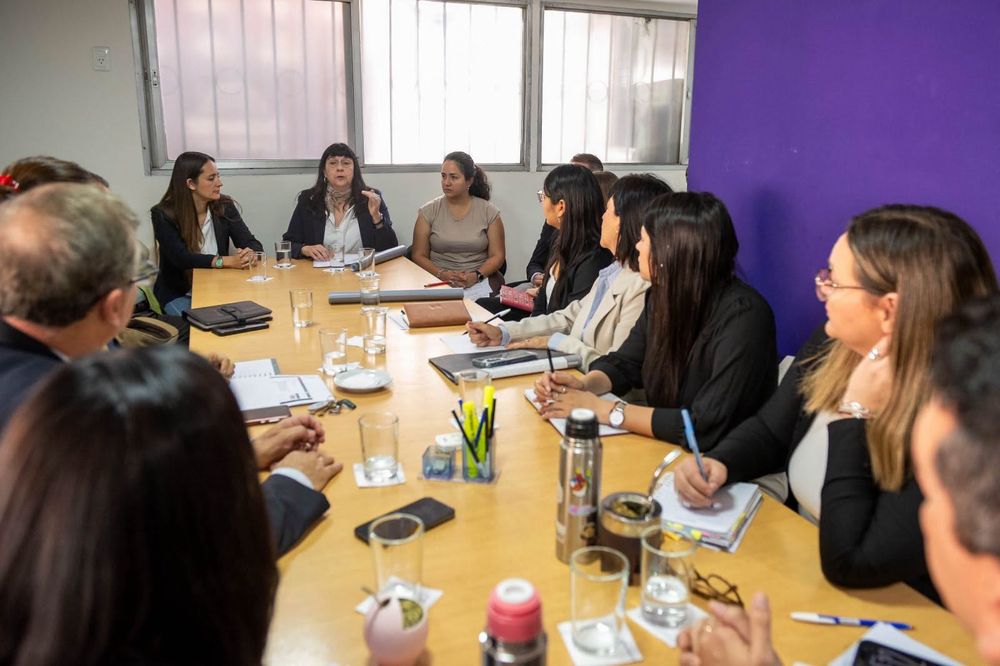 El equipo del Ministerio de Minería dio precisiones sobre Litios del Norte SA