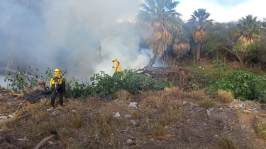 Combaten incendio forestal en Fray Mamerto Esquiú