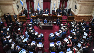 el senado dejo sin efecto el veto de milei y reactivo la ley de emergencia en discapacidad