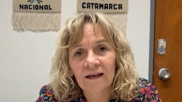 palladino alerto por cambios en discapacidad: lo que mas preocupa es que no accedan a la prestacion sanitaria