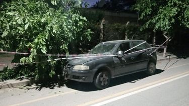 un automovil colisiono contra un arbol en huaco y su conductor fue hospitalizado