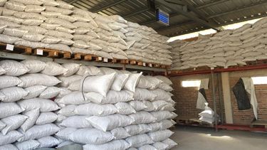 Desde Santa María a Italia: productores exportan nueces