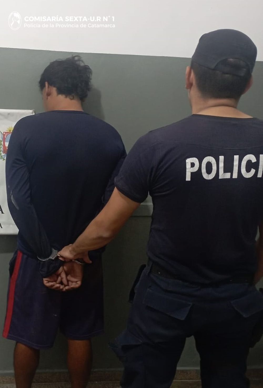 Cría. Sexta