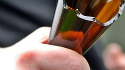 Imagen descriptiva. Imagen descriptiva.