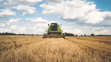 No ingresan divisas del campo