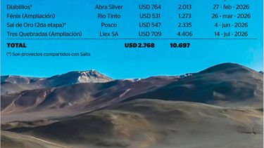 El impacto del RIGI, en millones de dólares