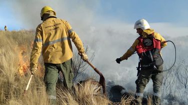Bomberos luchando contra incnedios forestales.&nbsp;