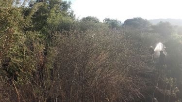 Tres incendios causaron temor ayer en Las Chacras