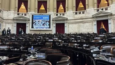Se cayó la sesión convocada para modificar los DNU