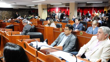 En medio de un escándalo Diputados aprobó el proyecto para la suspensión de las PASO