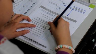 Prueba EGRA. Permitirá obtener un diagnóstico preciso sobre el estado &nbsp;de la alfabetización temprana.