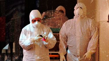 los casos de coronavirus en la provincia de buenos aires se quintuplicaron en un mes
